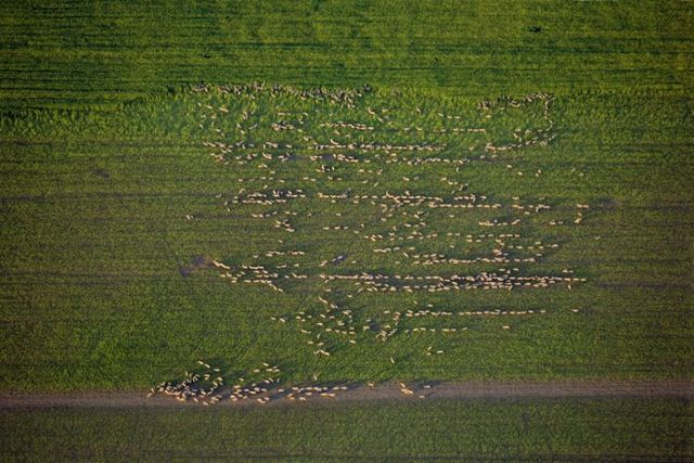 Beautiful photos taken from the sky (81 pics)