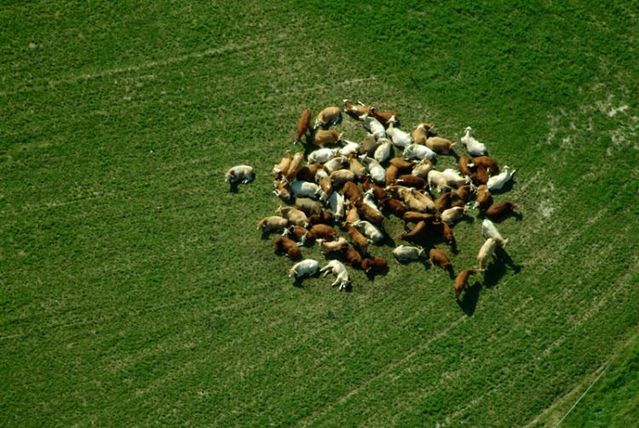 Beautiful photos taken from the sky (81 pics)