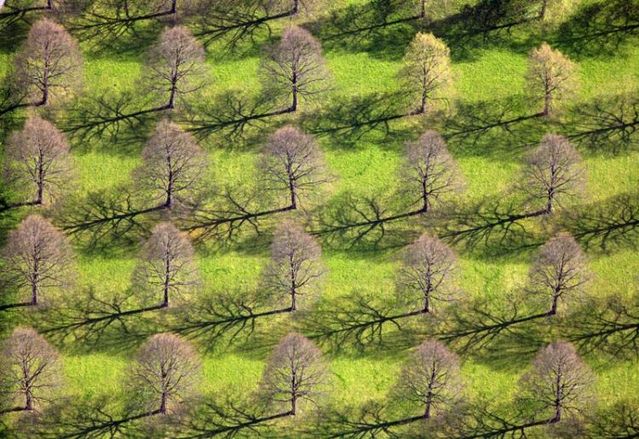 Beautiful photos taken from the sky (81 pics)