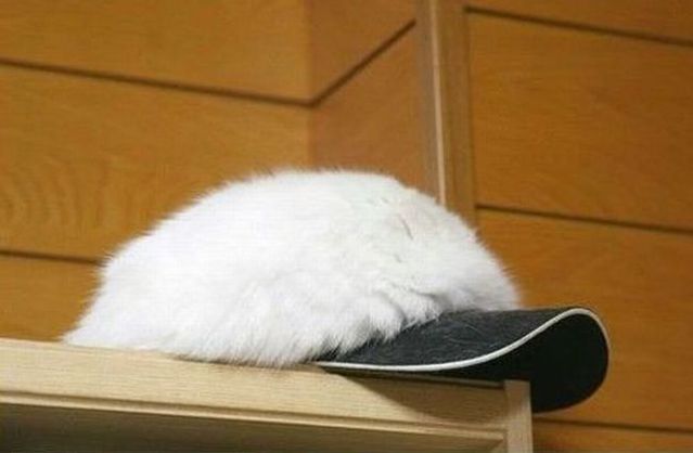 A good oldie. Cap and a towel )) (7 pics)