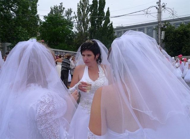 The parade of brides in Kursk, Russia (36 pics)