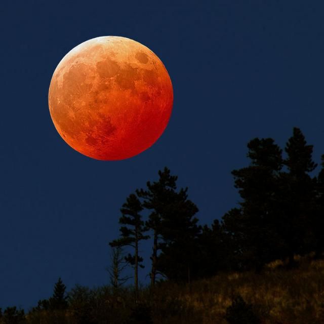 Astonishing photo set of the Sun and the Moon (82 pics)