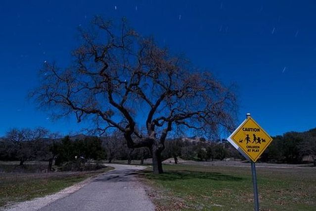 Neverland Ranch - the former home of Michael Jackson (61 pics)