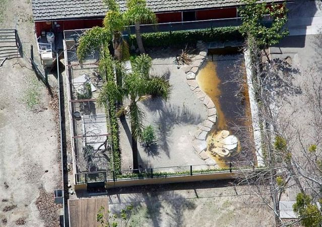 Neverland Ranch - the former home of Michael Jackson (61 pics)