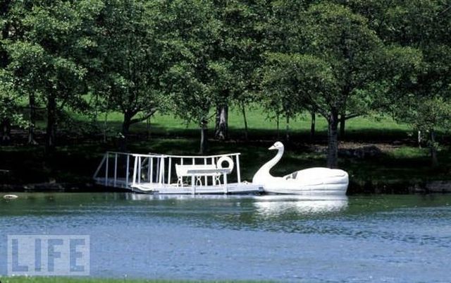 Neverland Ranch - the former home of Michael Jackson (61 pics)