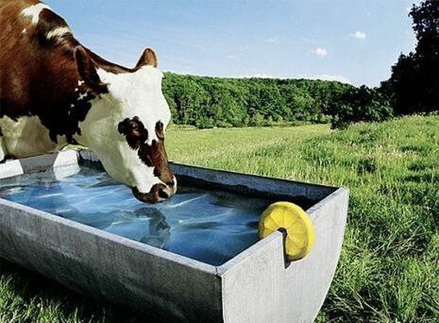 Daily picdump (114 pics)