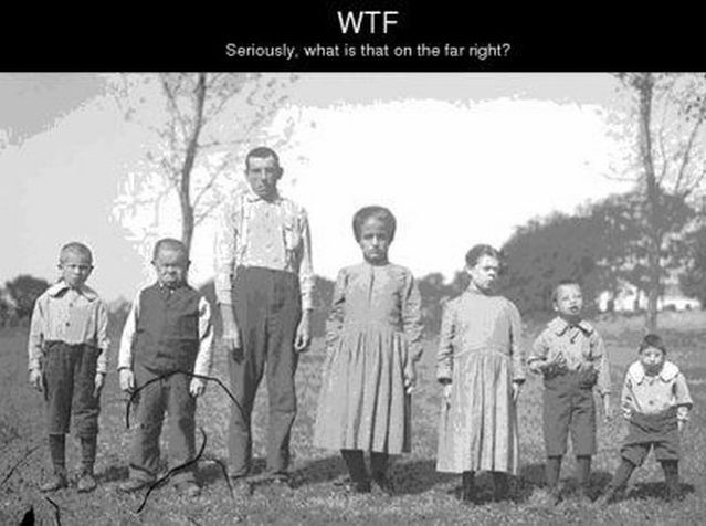 Daily picdump (114 pics)