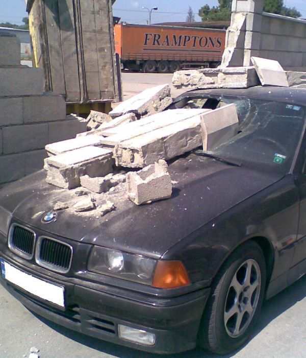 Daily picdump (114 pics)