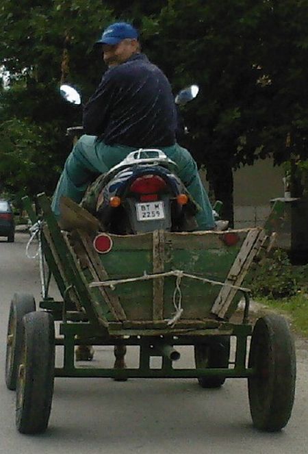 Daily picdump (114 pics)