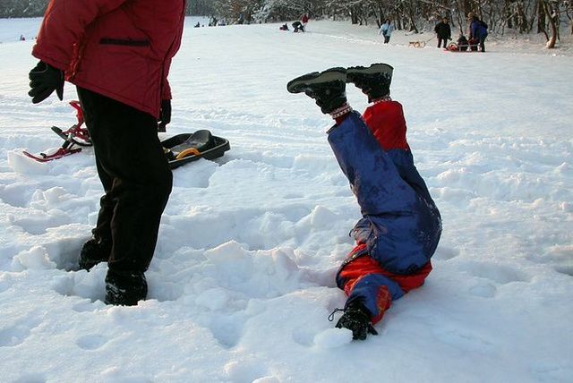 Daily picdump (114 pics)