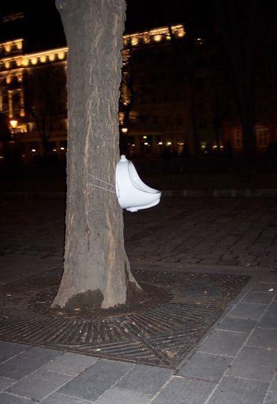 Daily picdump (114 pics)