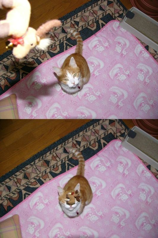 Daily picdump (114 pics)