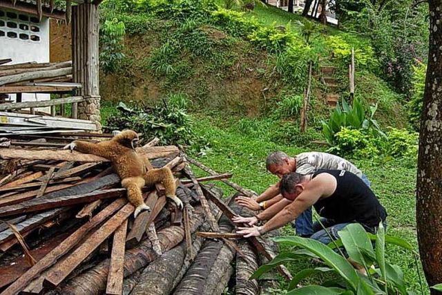 Daily picdump (114 pics)