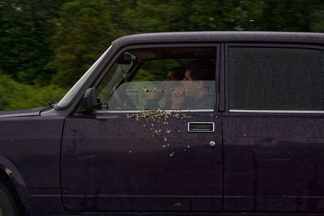Daily picdump (114 pics)