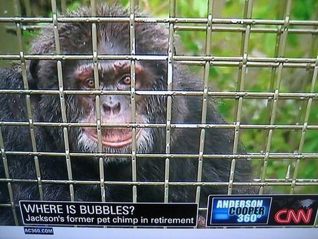 Daily picdump (114 pics)