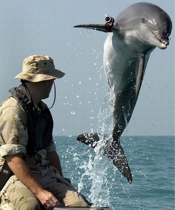 Daily picdump (114 pics)