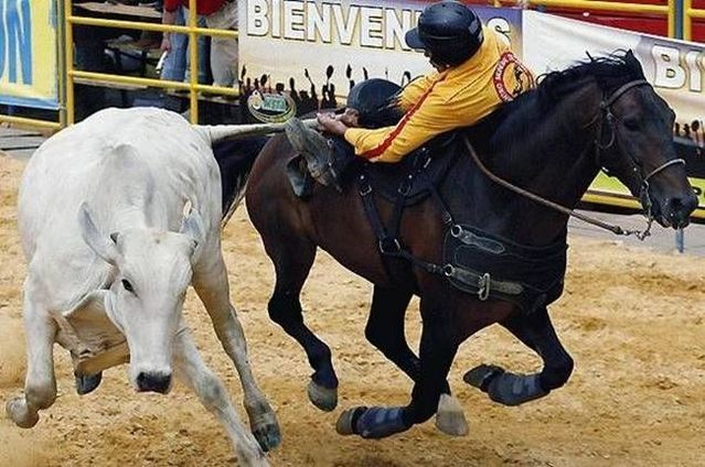 Daily picdump (114 pics)