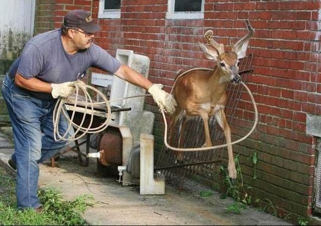 Daily picdump (114 pics)