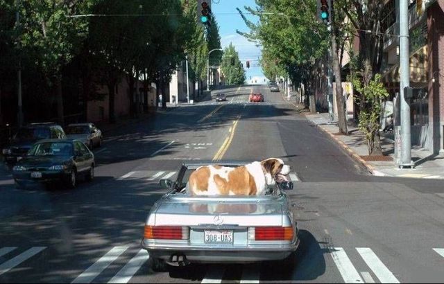 Daily picdump (114 pics)