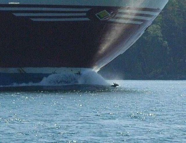 Daily picdump (114 pics)