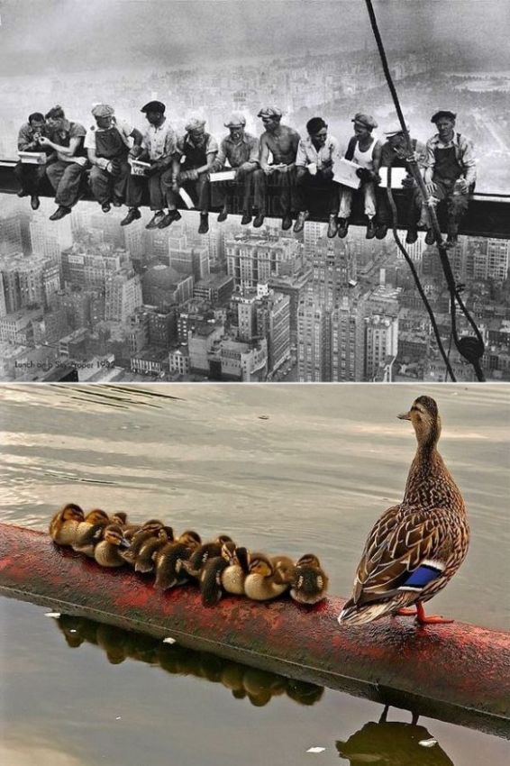 Daily picdump (114 pics)