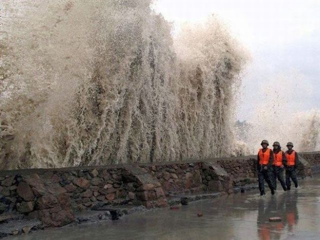 About water with humor (41 pics)