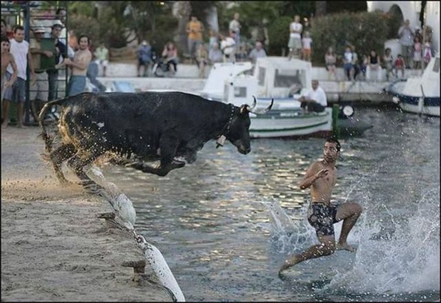 About water with humor (41 pics)
