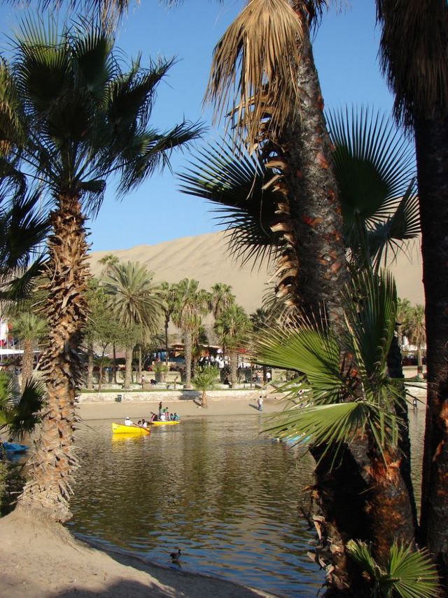Huacachina - another great destination for summer vacations (38 pics)