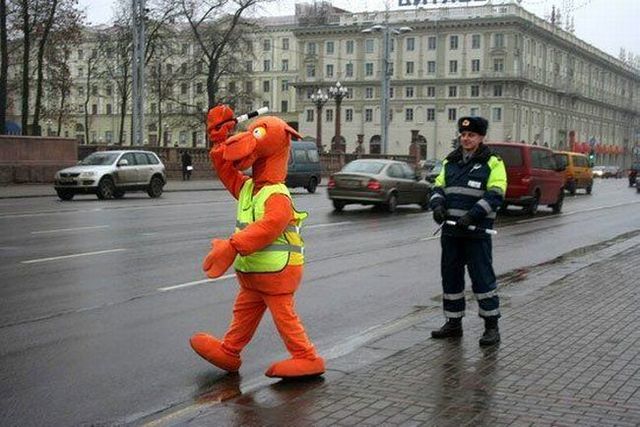 Daily picdump (115 pics)