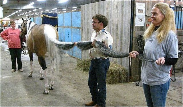 Daily picdump (115 pics)