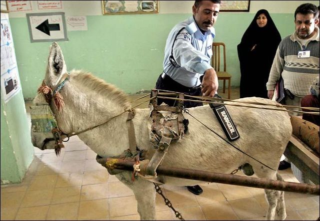 Daily picdump (115 pics)