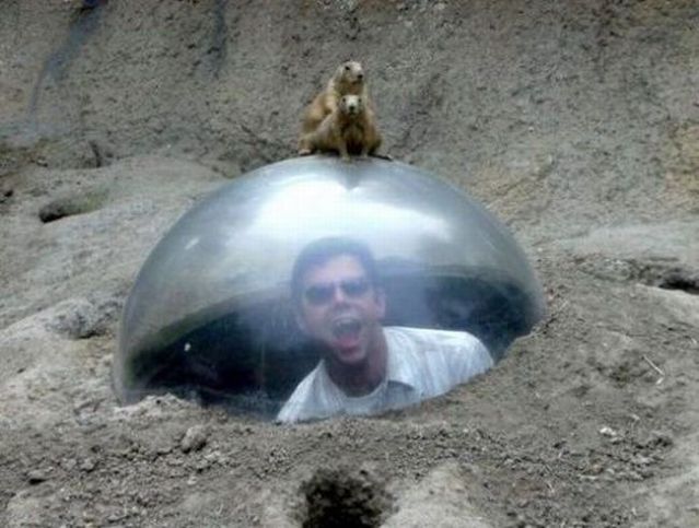 Daily picdump (115 pics)