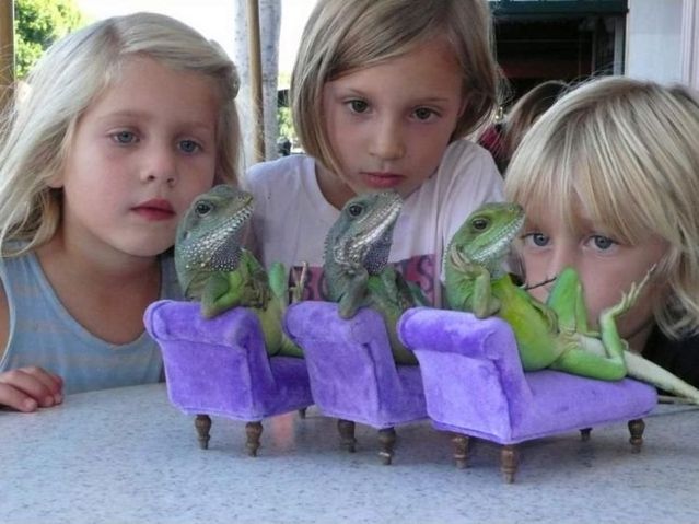 Daily picdump (115 pics)