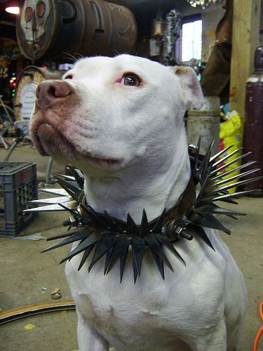 Daily picdump (115 pics)