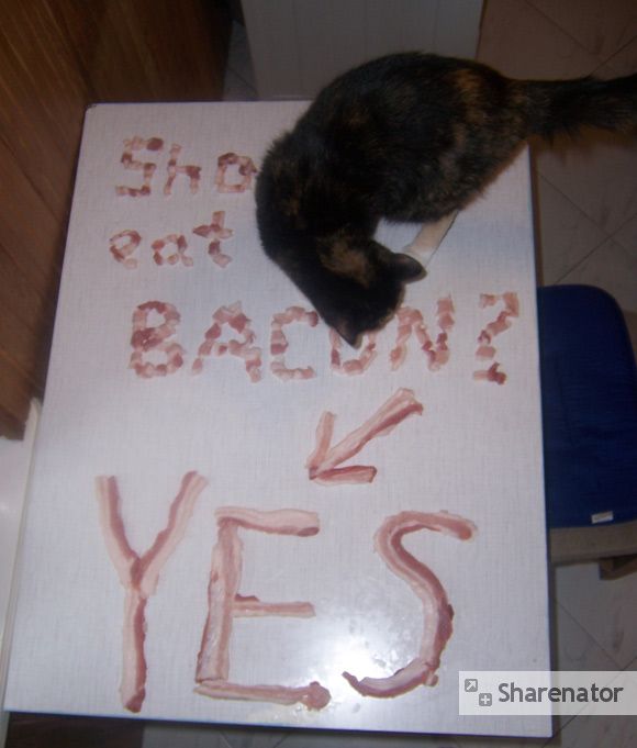 Daily picdump (115 pics)