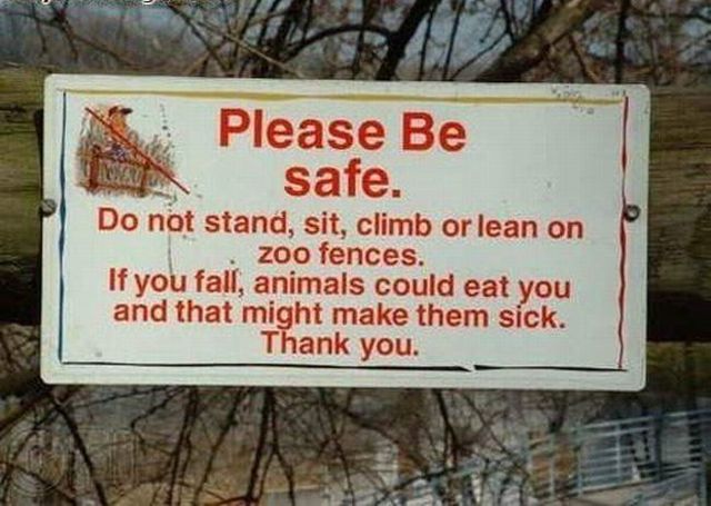 Daily picdump (115 pics)