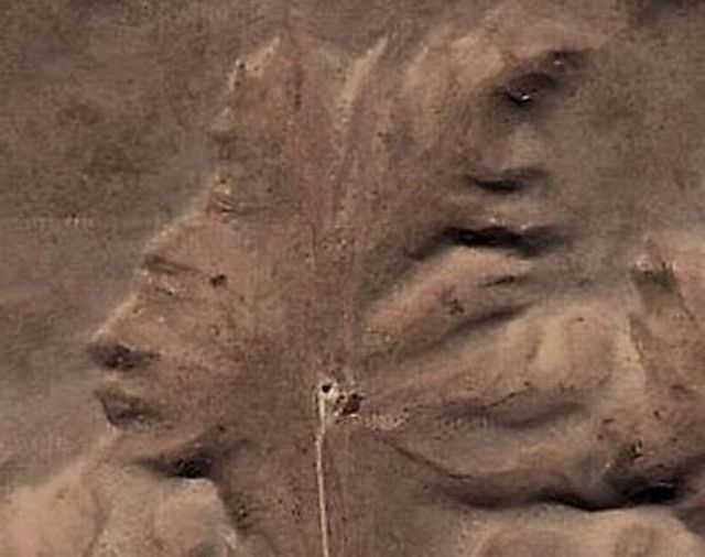 Unusual views in Google Maps (50 pics)