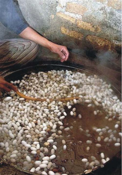How they make pure silk yarn (20 pics)