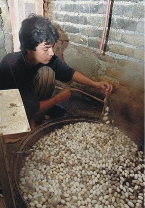 How they make pure silk yarn (20 pics)