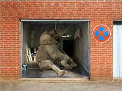 Posters on the garage door (35 pics)