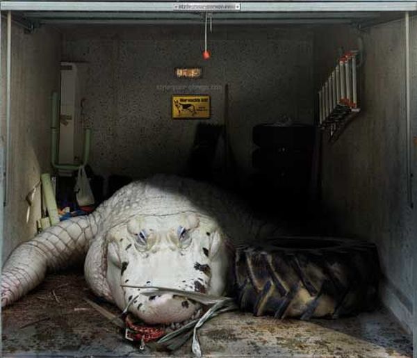 Posters on the garage door (35 pics)