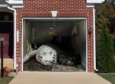 Posters on the garage door (35 pics)