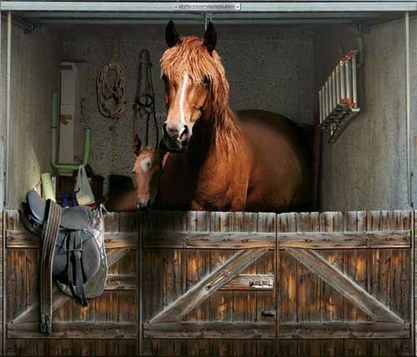 Posters on the garage door (35 pics)