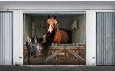 Posters on the garage door (35 pics)