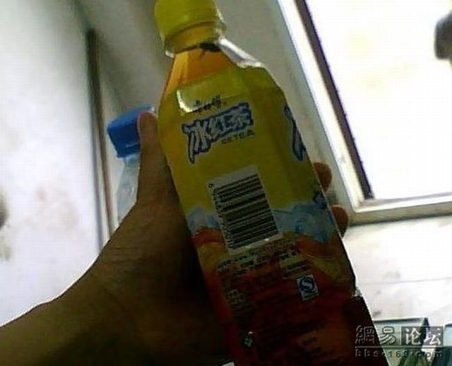 It is dangerous to drink Ice Tea (3 pics)