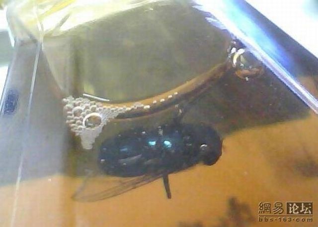 It is dangerous to drink Ice Tea (3 pics)