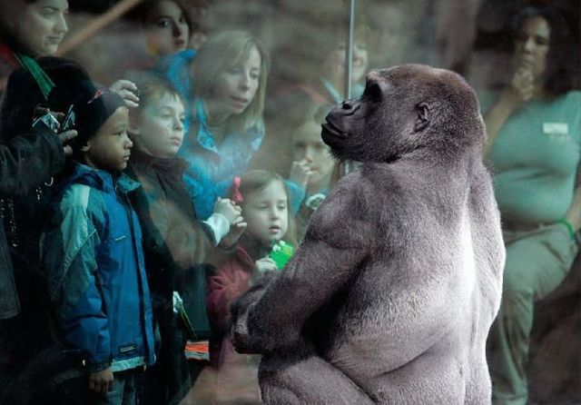 Daily picdump (117 pics)