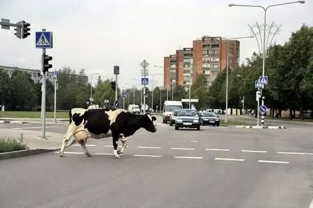 Daily picdump (117 pics)