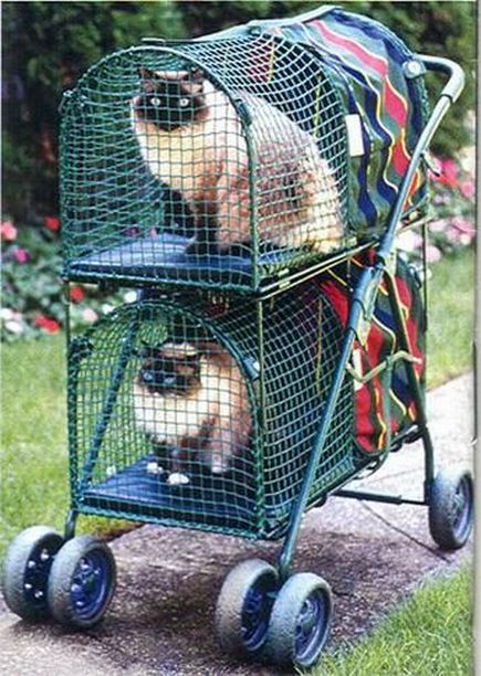 Daily picdump (117 pics)