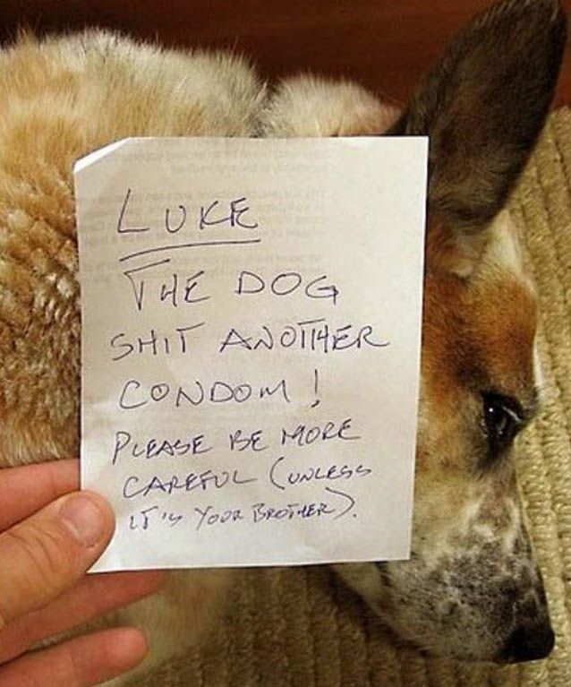 Daily picdump (117 pics)